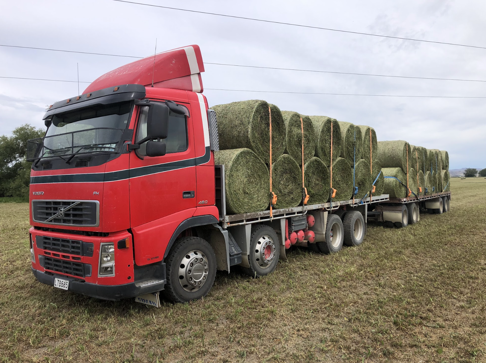 Cartage photo 1