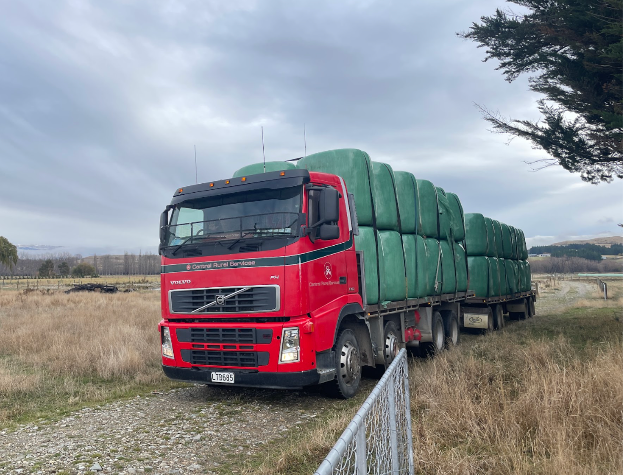 Cartage photo 3