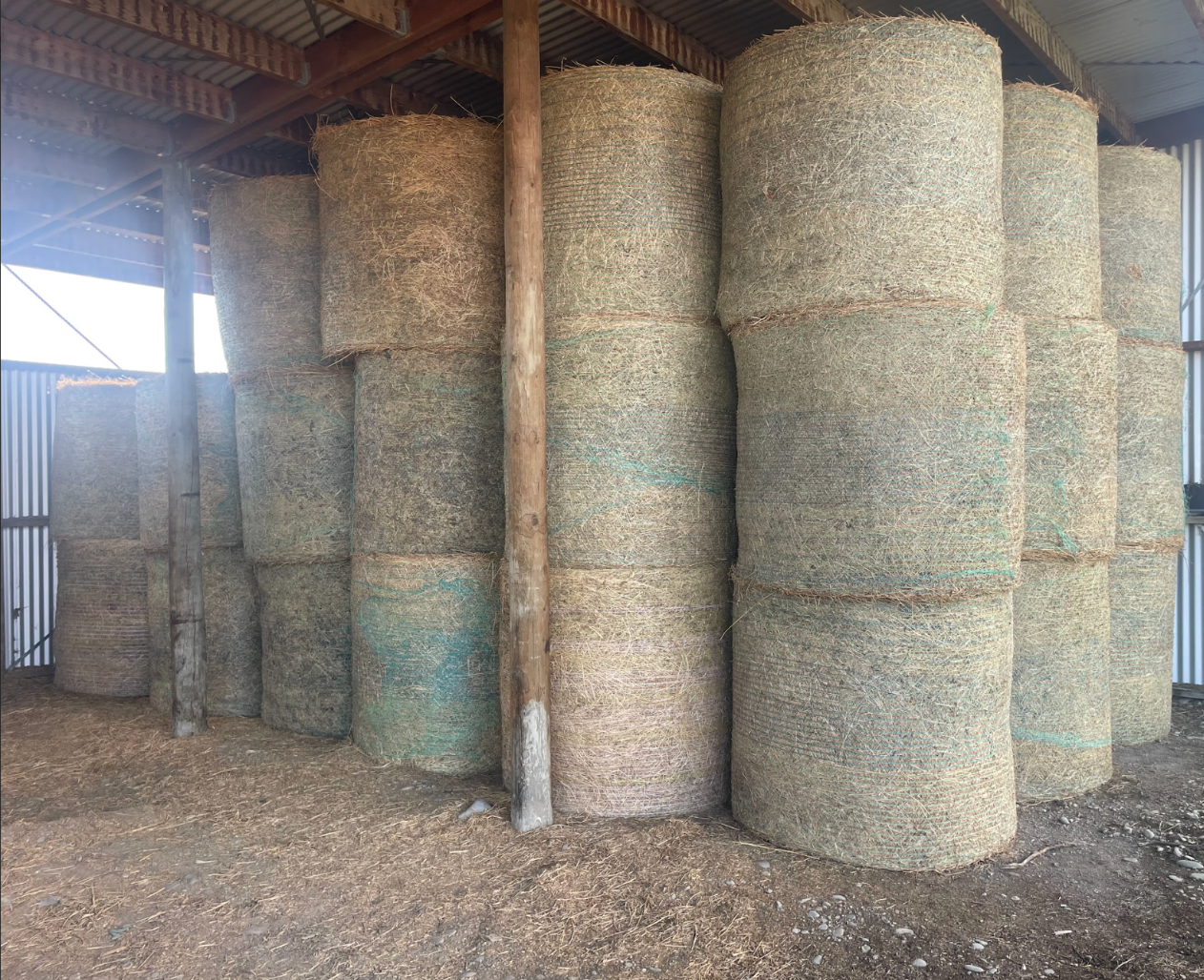 Feed Trading photo 1