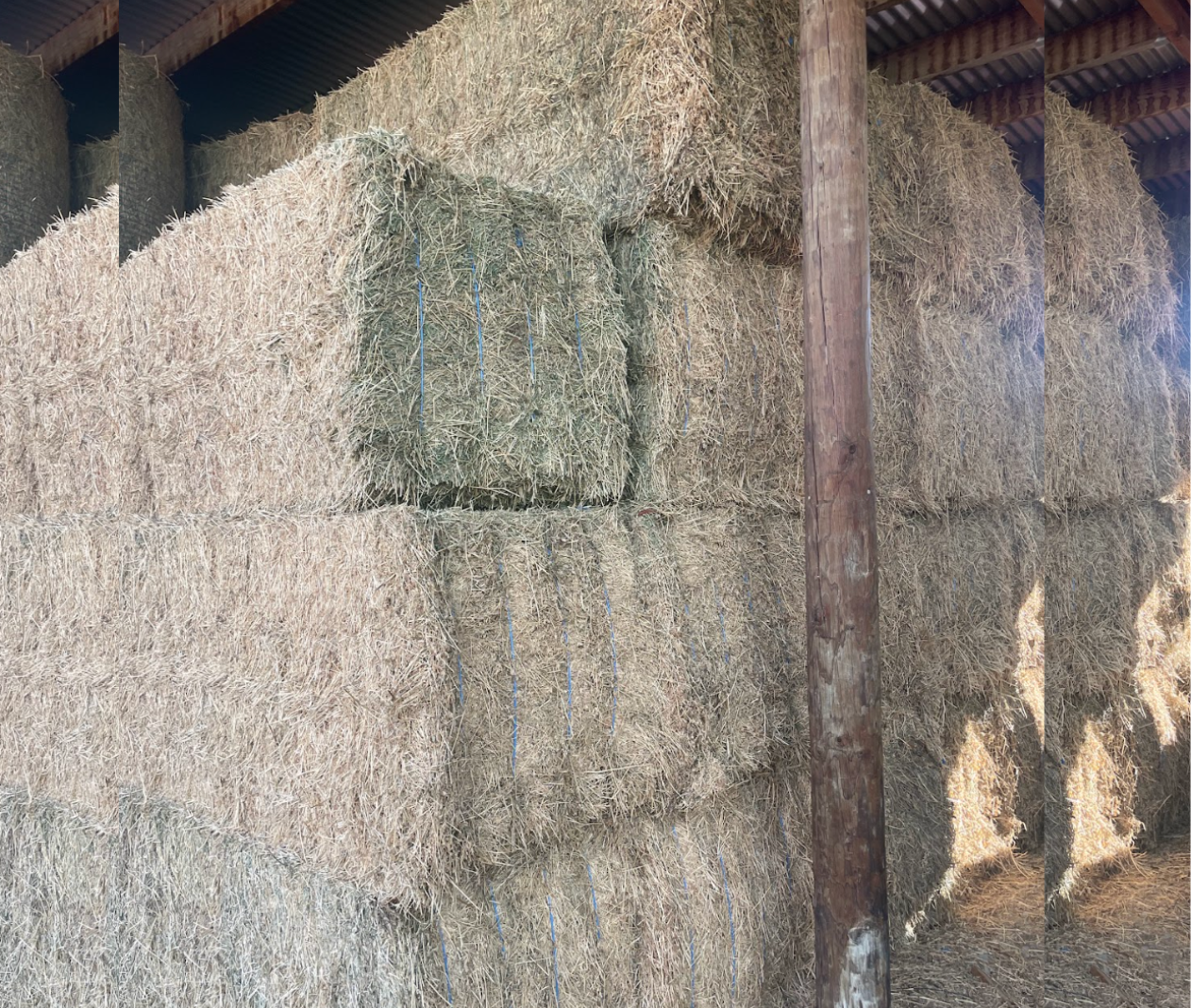 Feed Trading photo 3