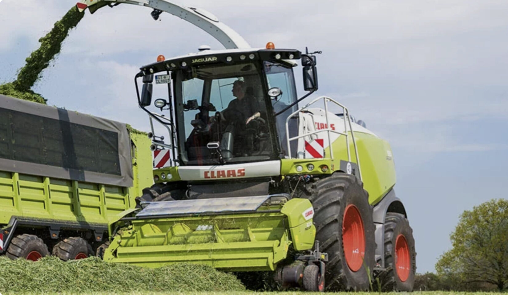 Silage photo 3