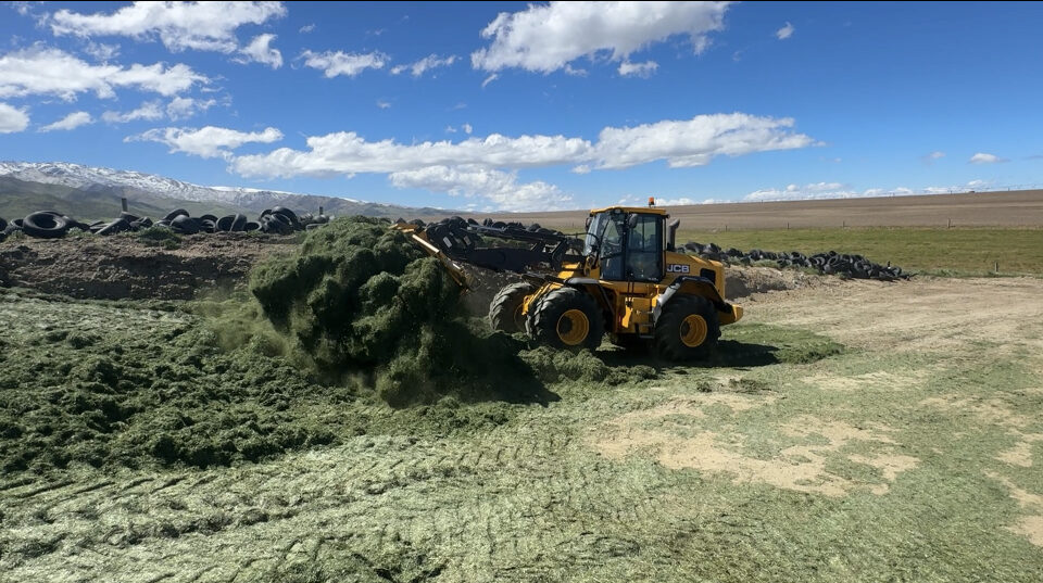 Silage harvesting with CLAAS forage harvester