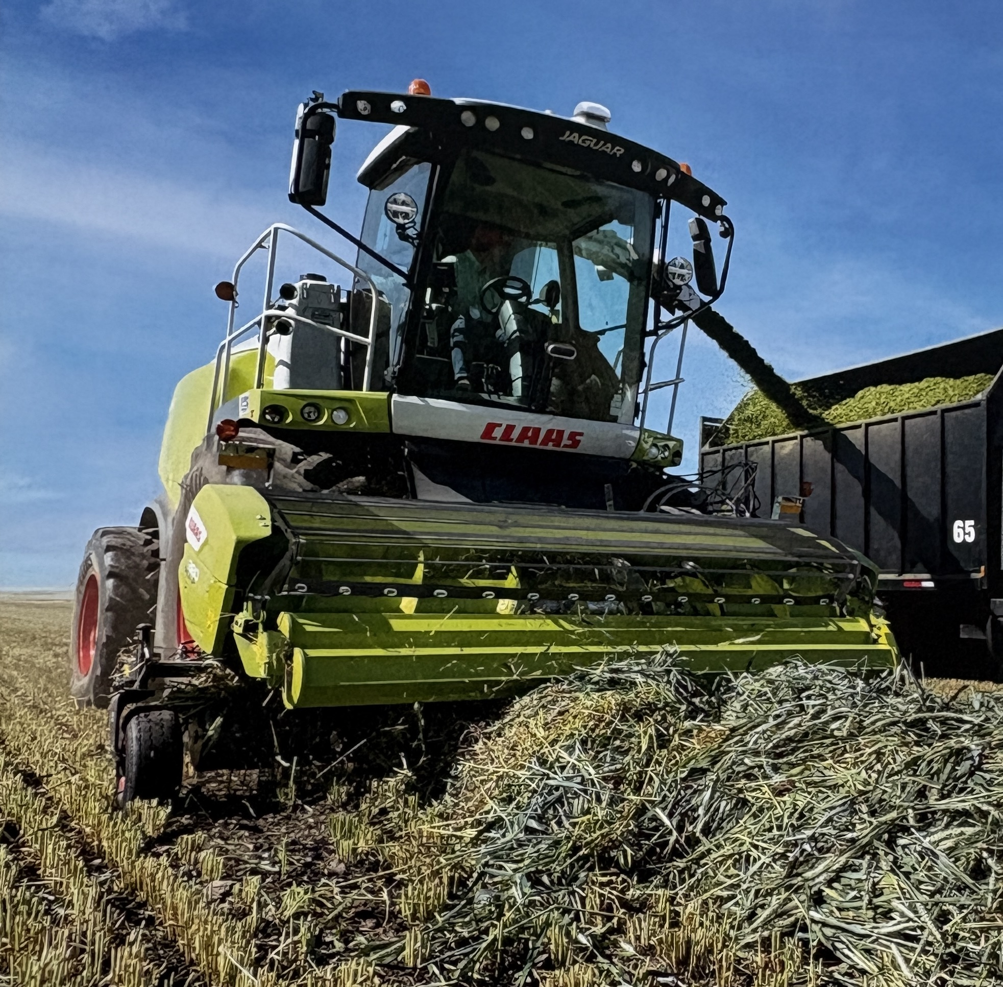 Silage photo 3